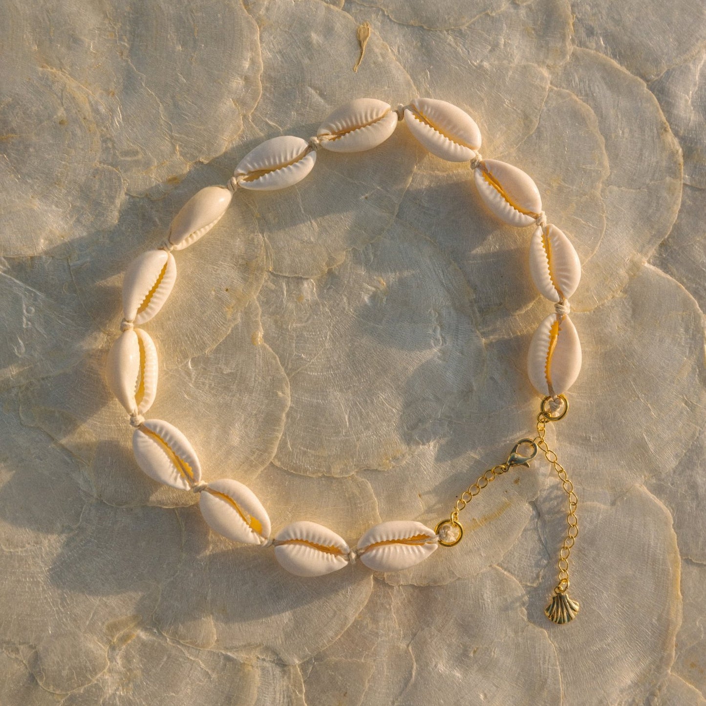 Puka Shell Choker