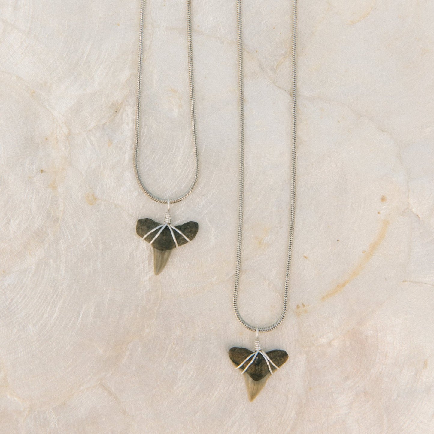 Shark Tooth Necklace