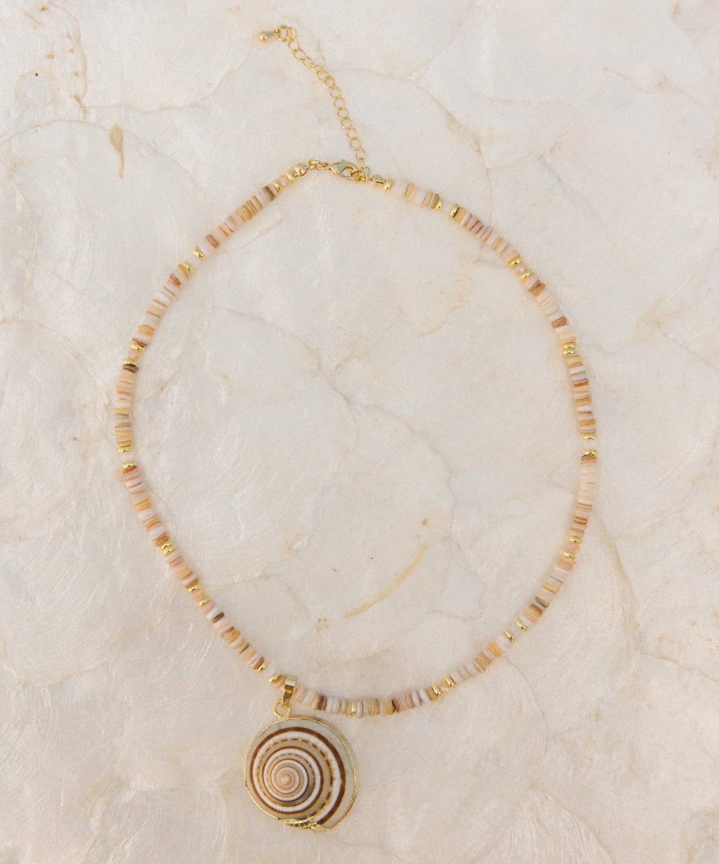 Sundial Shell Necklace