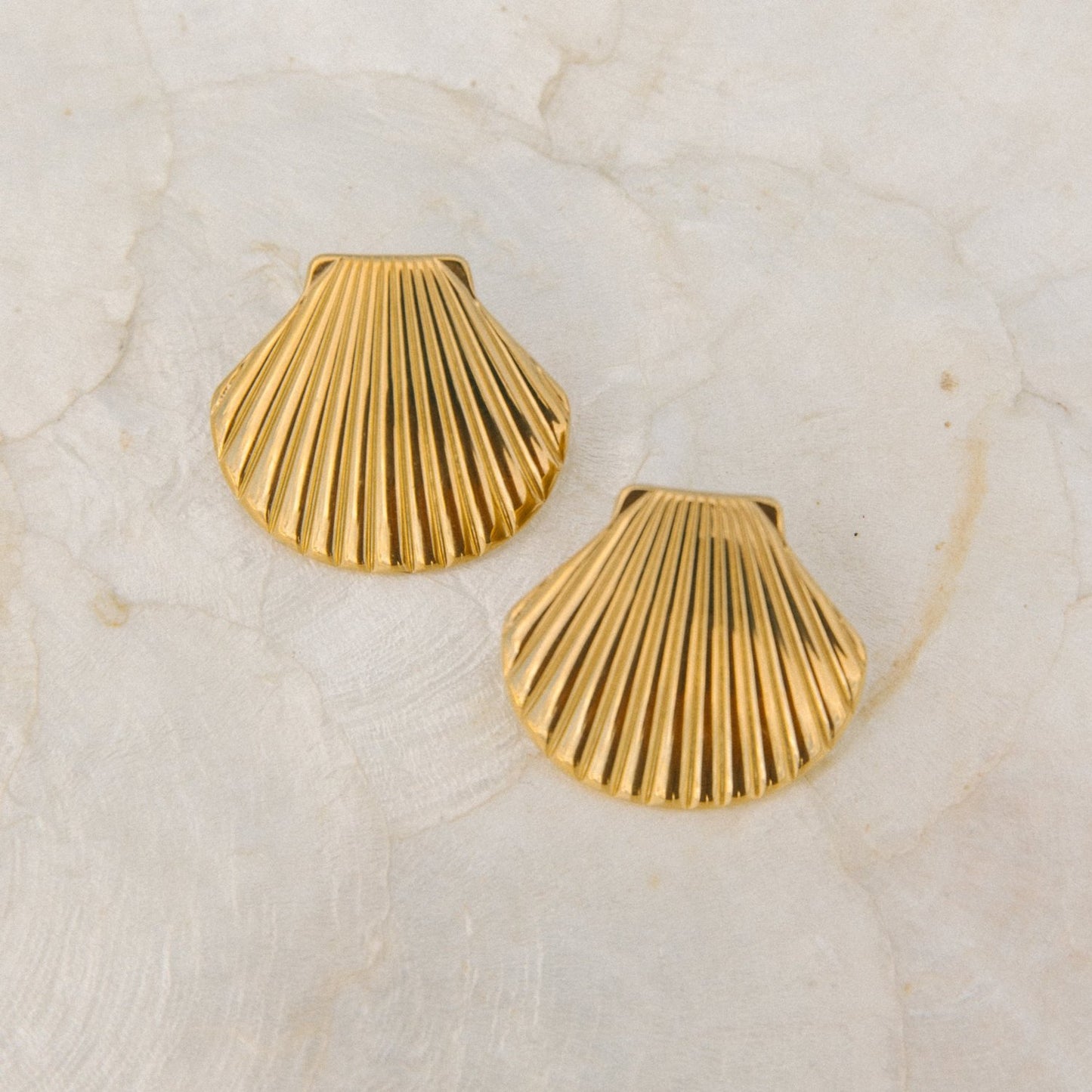 Scallop Shell Earrings