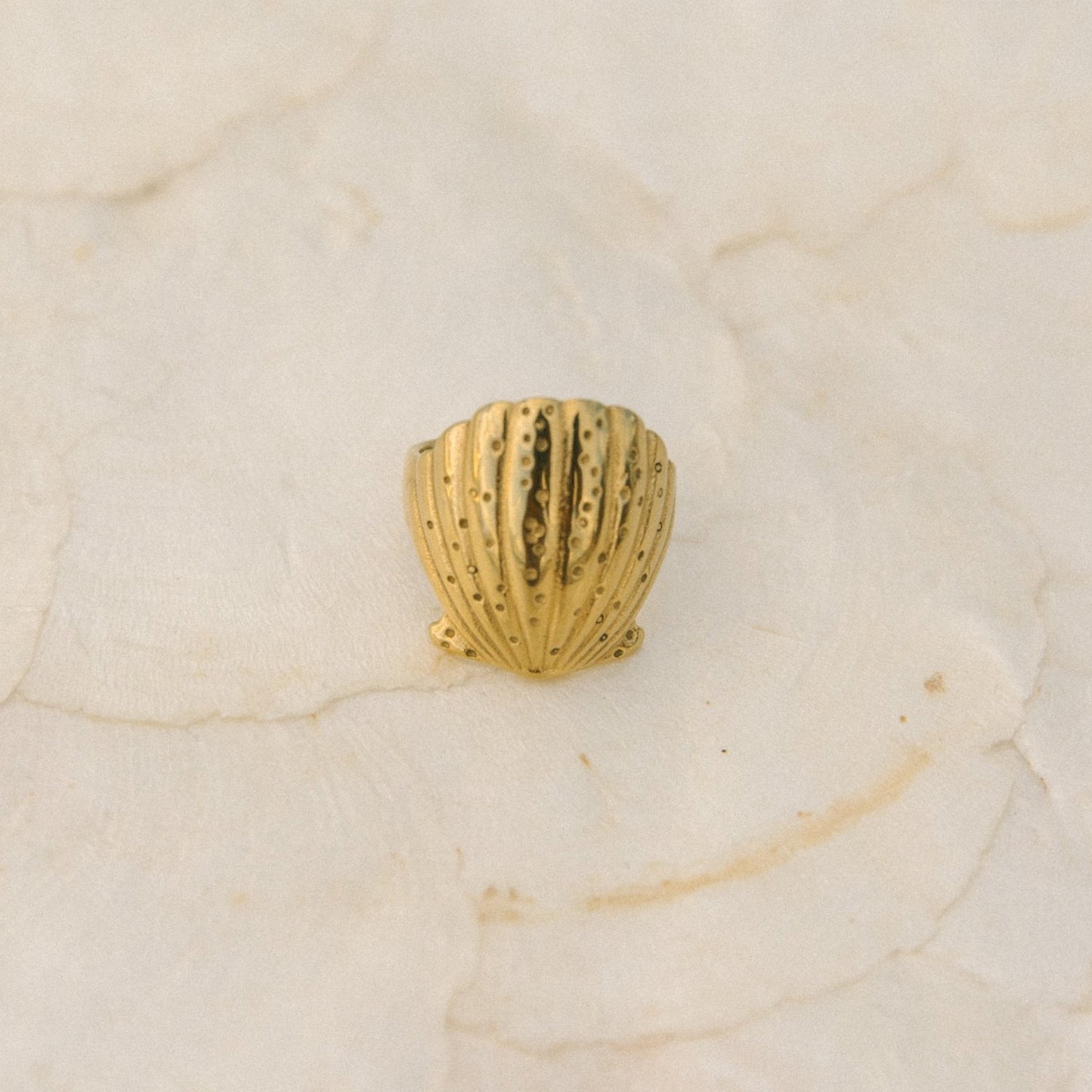 Scallop Shell Ring