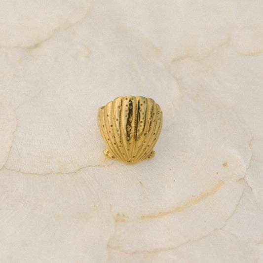 Scallop Shell Ring