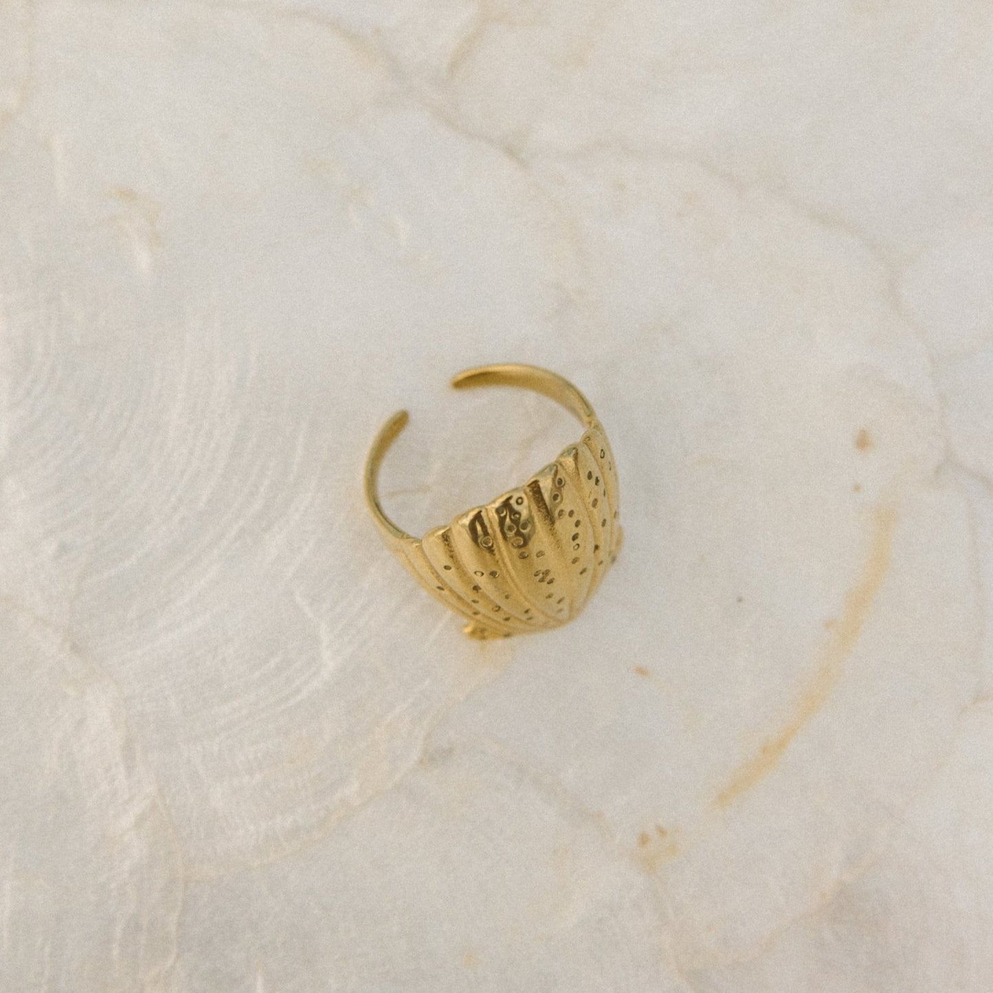 Scallop Shell Ring