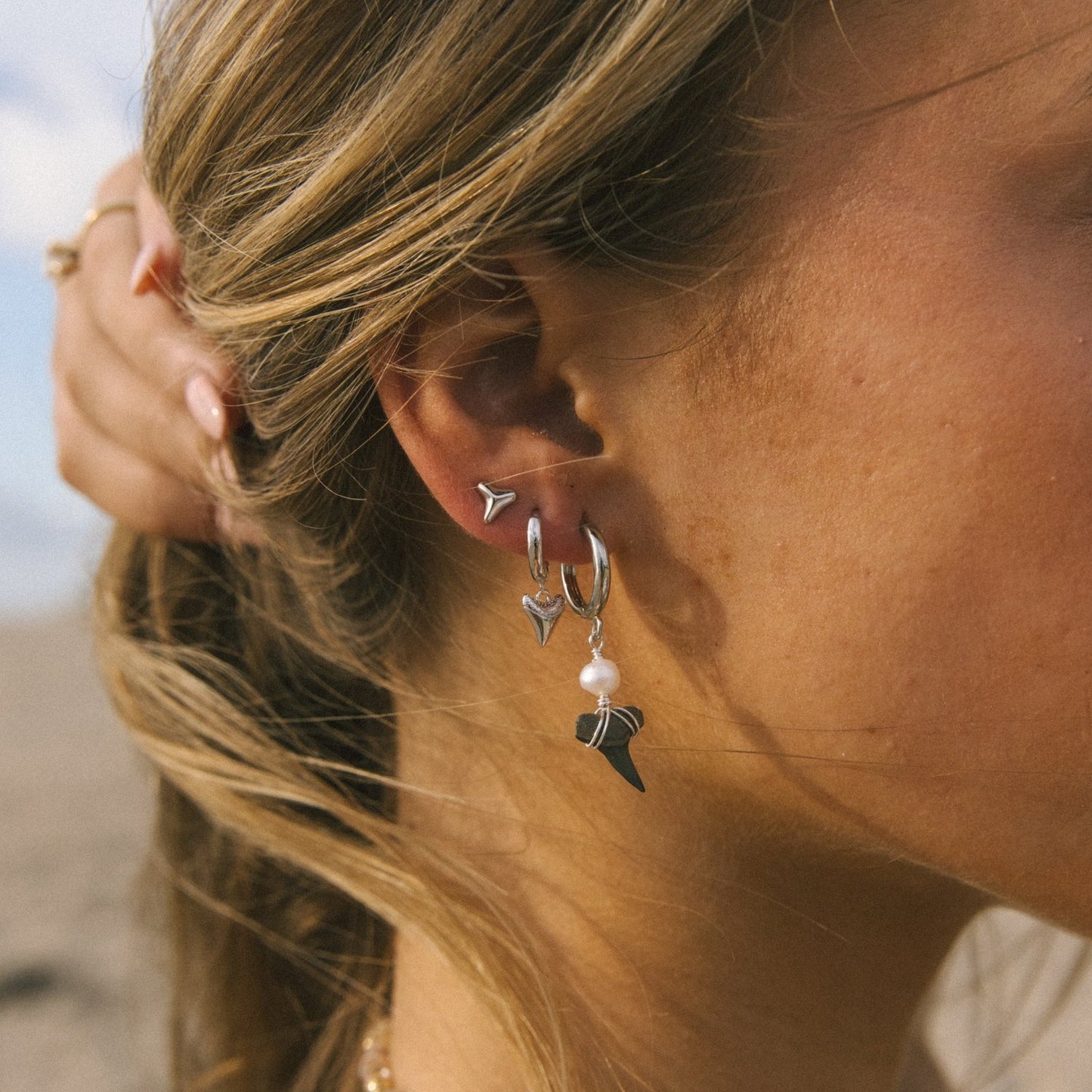 Shark Tooth Studs