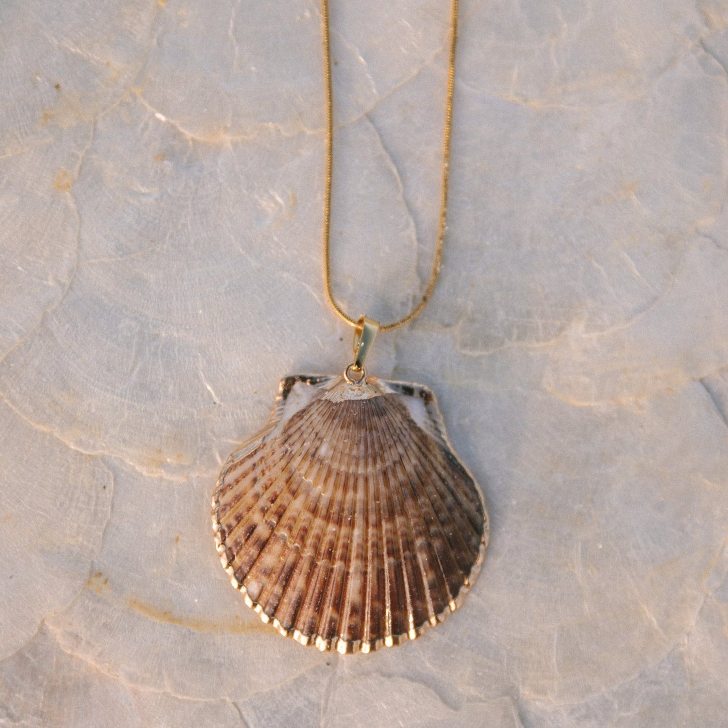 Scallop Shell Necklace