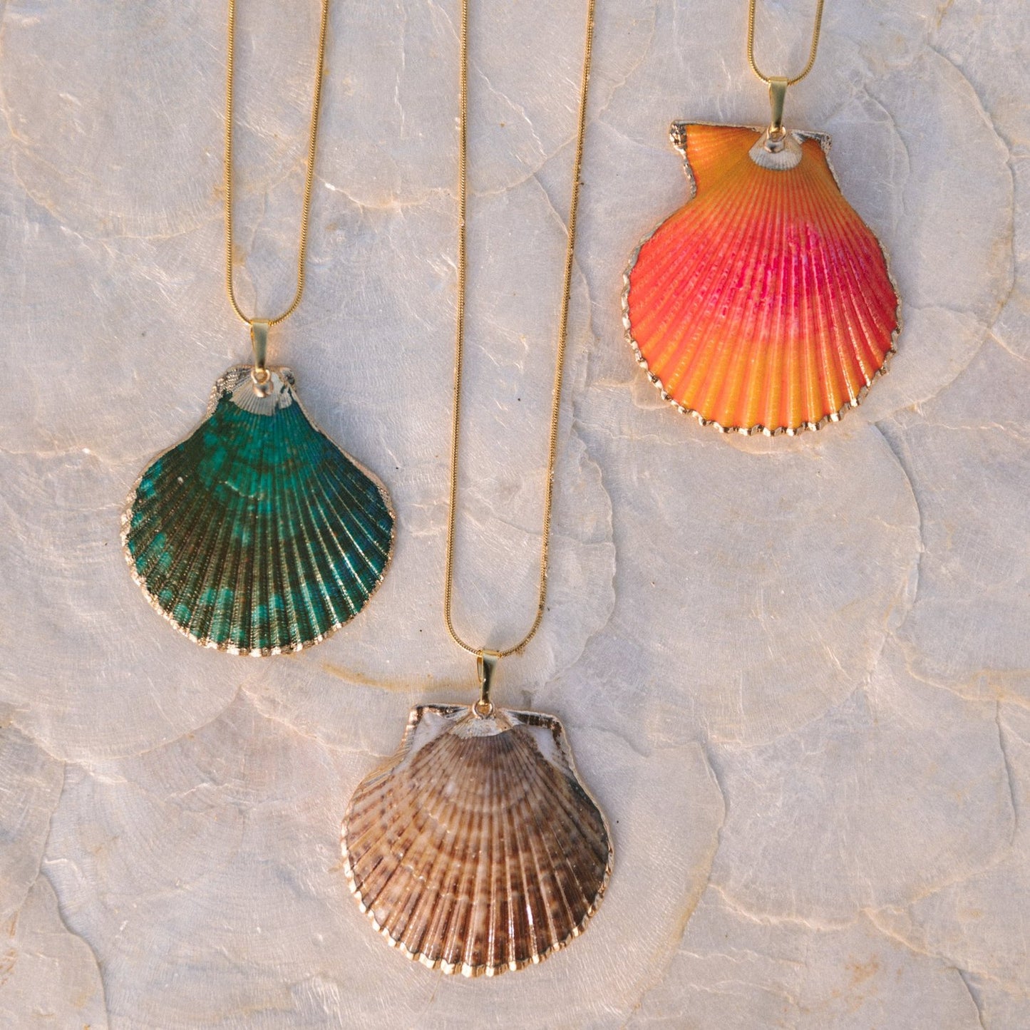 Scallop Shell Necklace