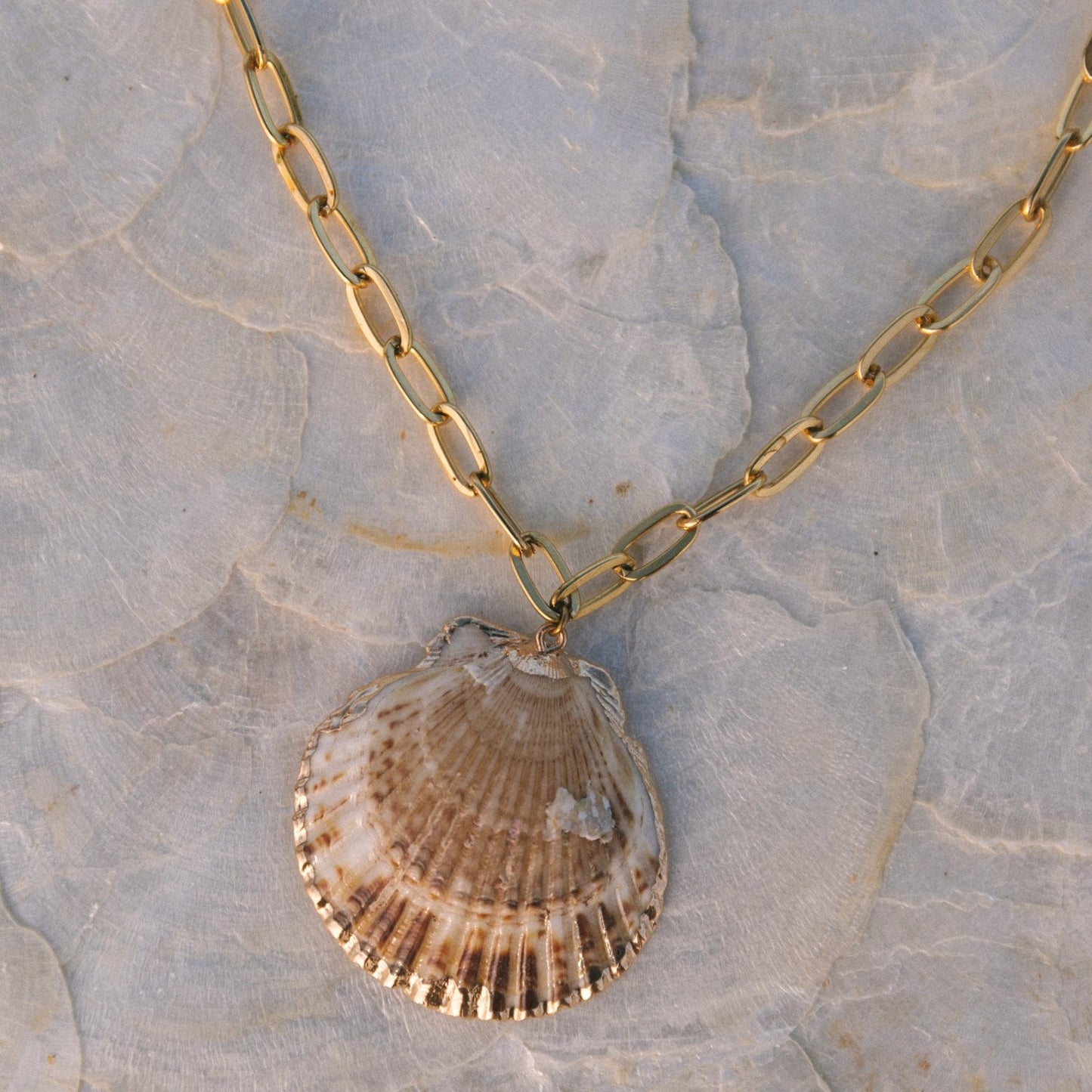 Scallop Shell Chain