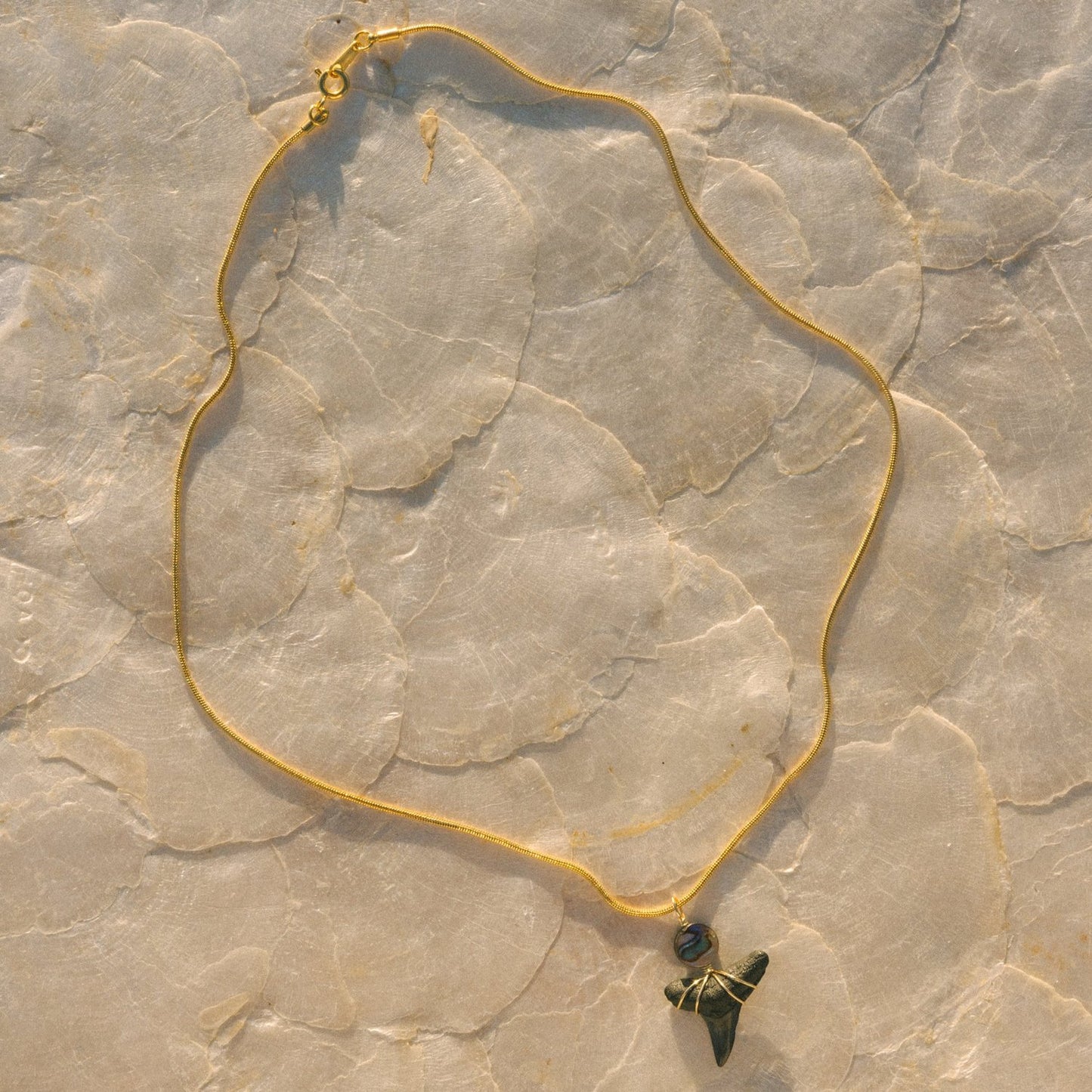 Abalone Shark Tooth Necklace