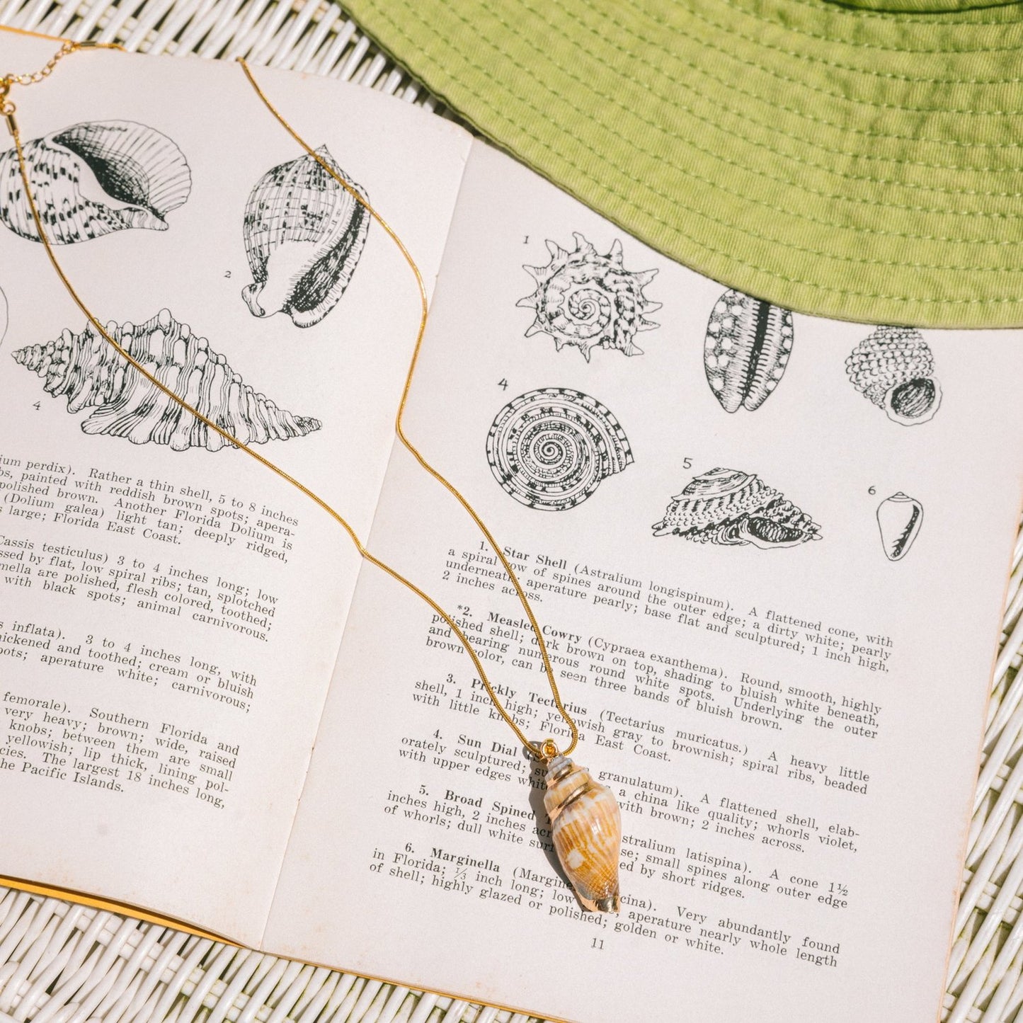 Golden Shores Necklace