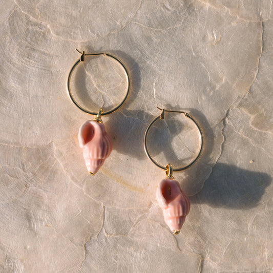Conch Hoops