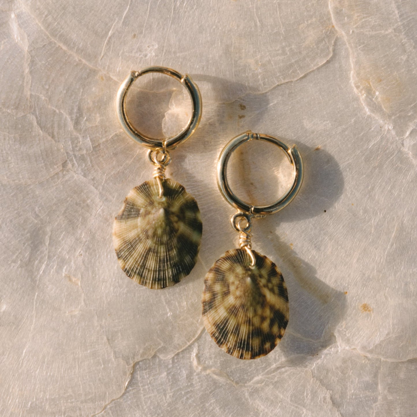 Shell-shaped earrings on a textured stone surface