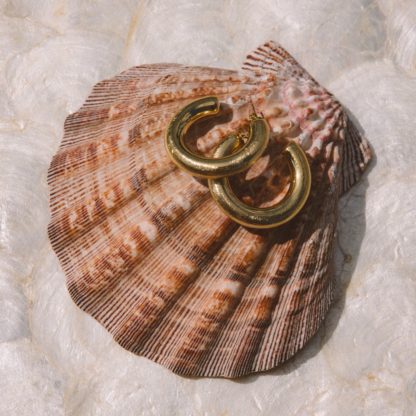 Two gold hoop earrings resting on a brown and beige display.