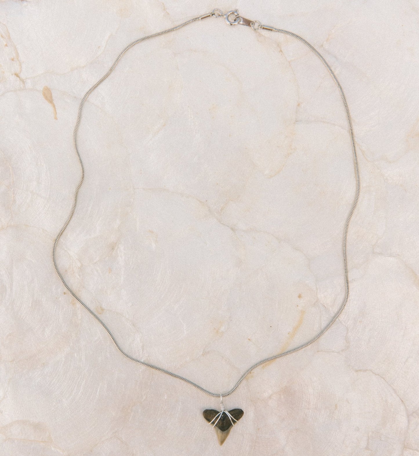 Shark Tooth Necklace