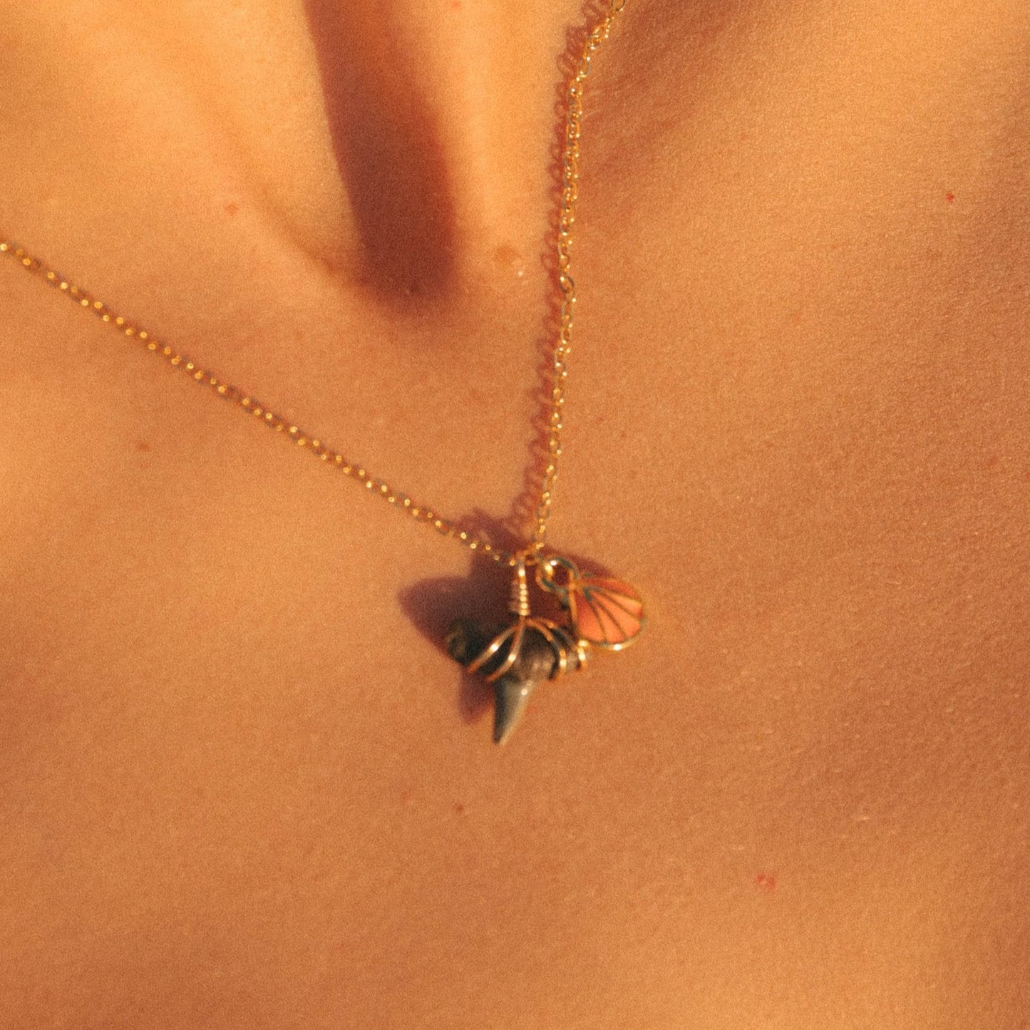 Seashell Shark Tooth Necklace