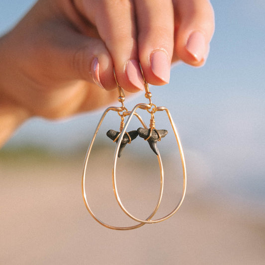 Shark Tooth Hoops