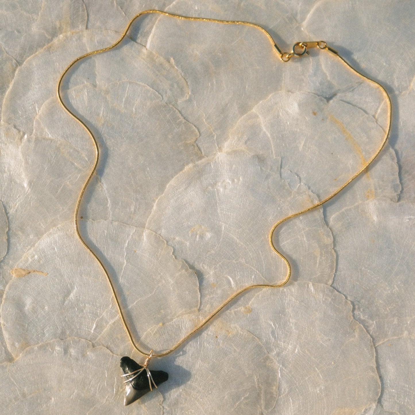 Shark Tooth Necklace