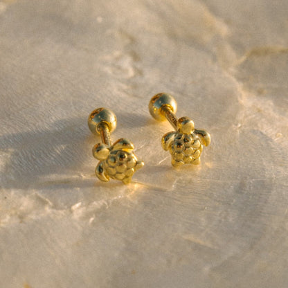 Hatchling Studs
