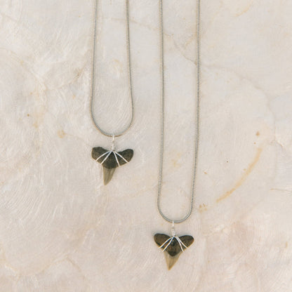Two shark tooth necklaces on a textured beige surface