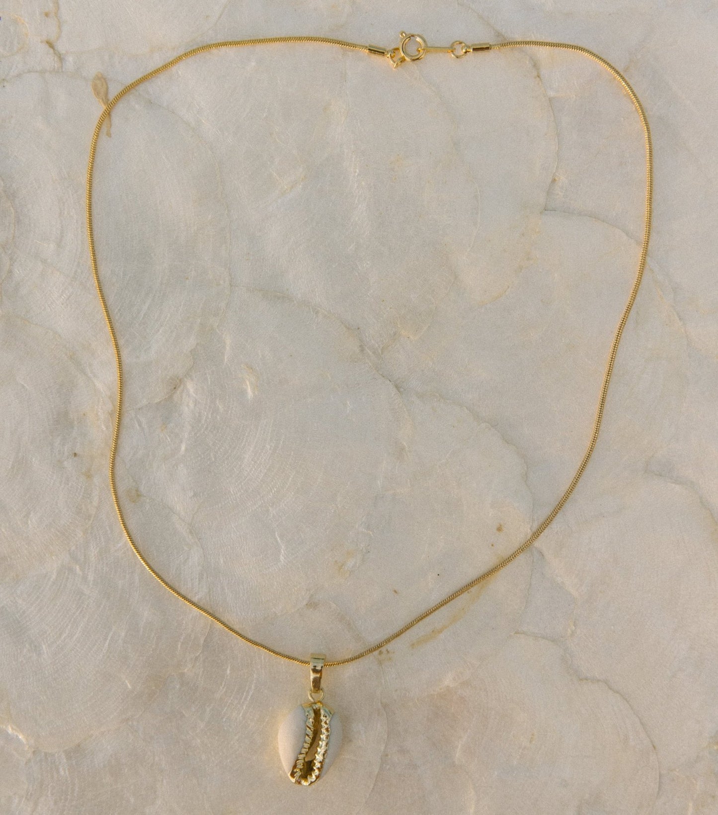 Puka Paradise Necklace