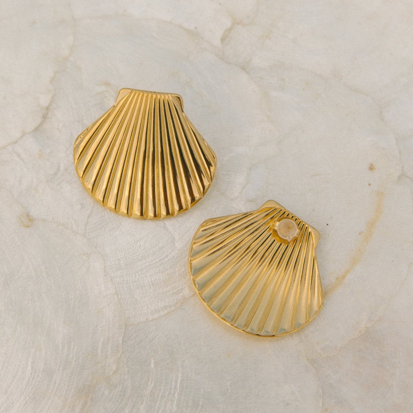 Scallop Shell Earrings