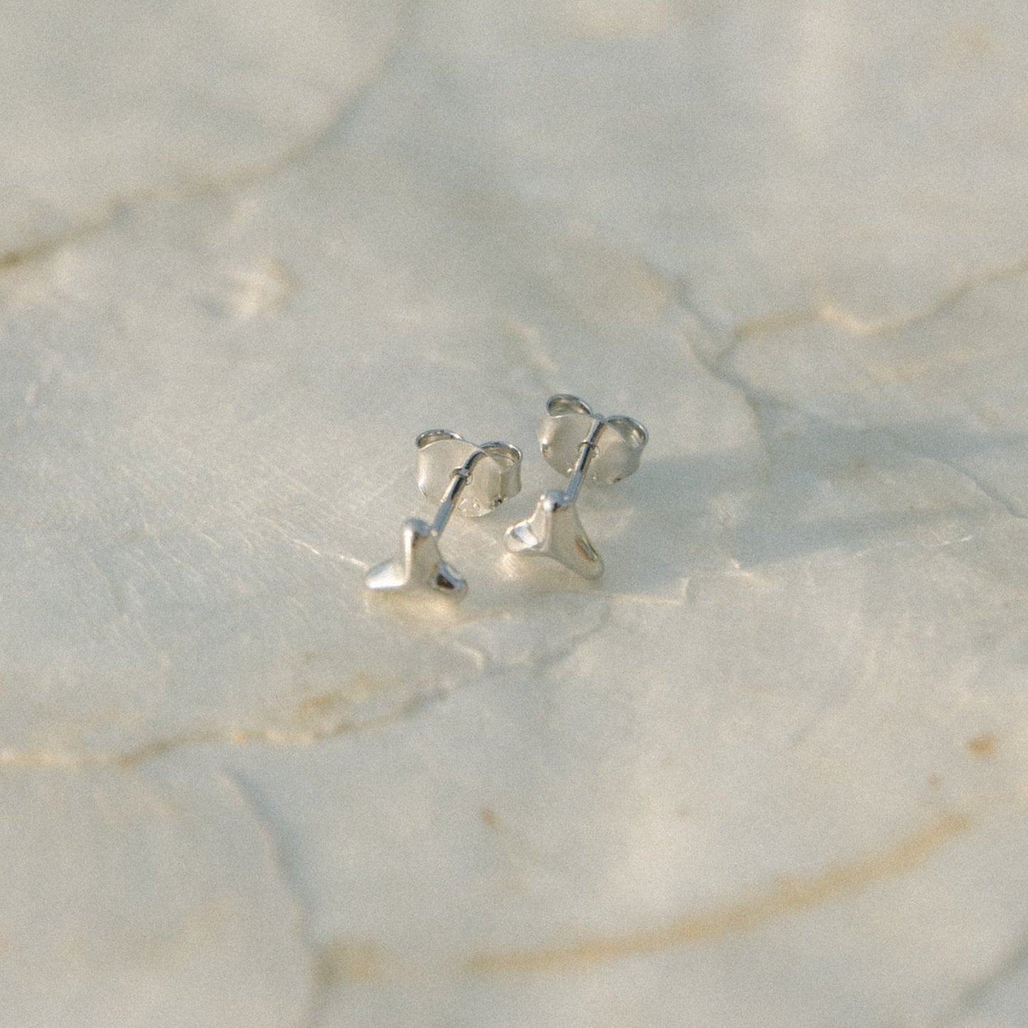Shark Tooth Studs