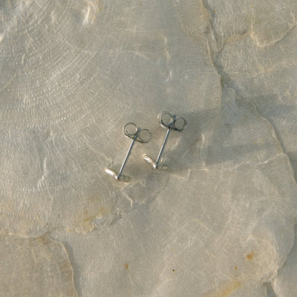 Shark Tooth Studs