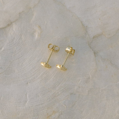 Shark Tooth Studs