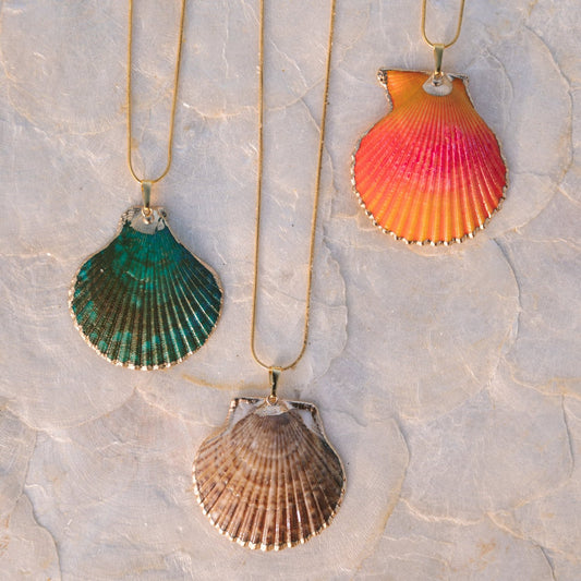 Scallop Shell Necklace