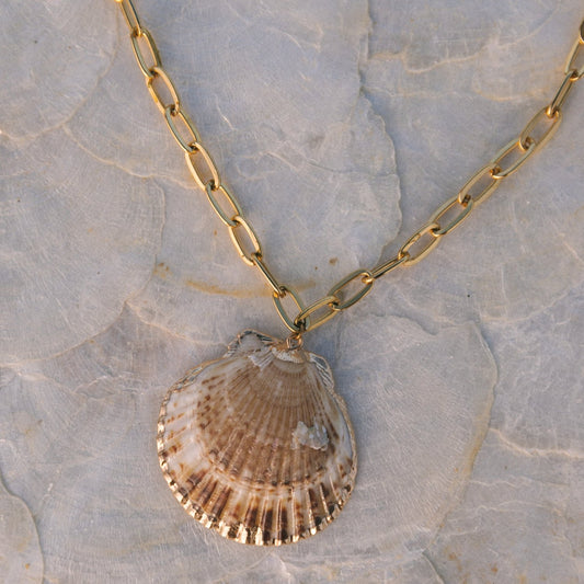 Scallop Shell Chain