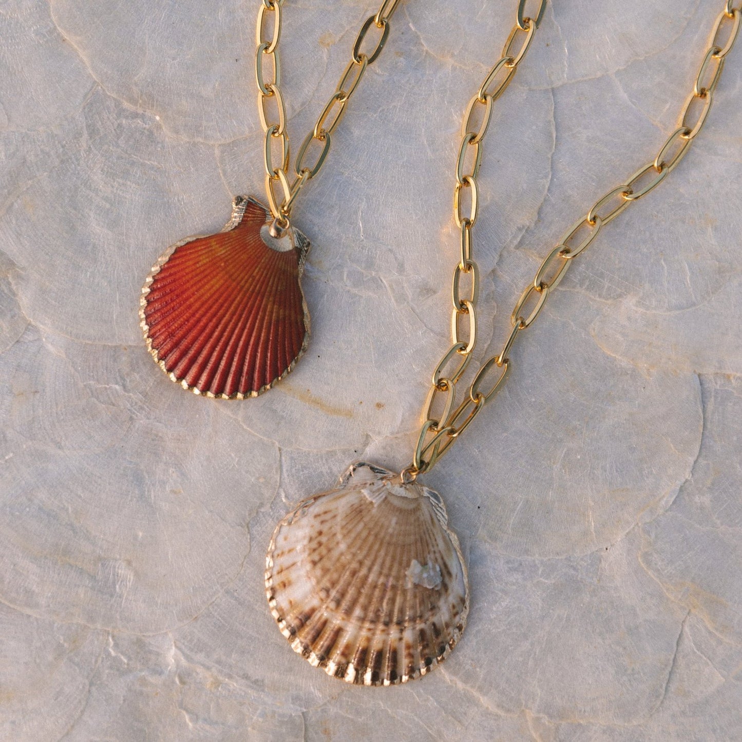 Scallop Shell Chain