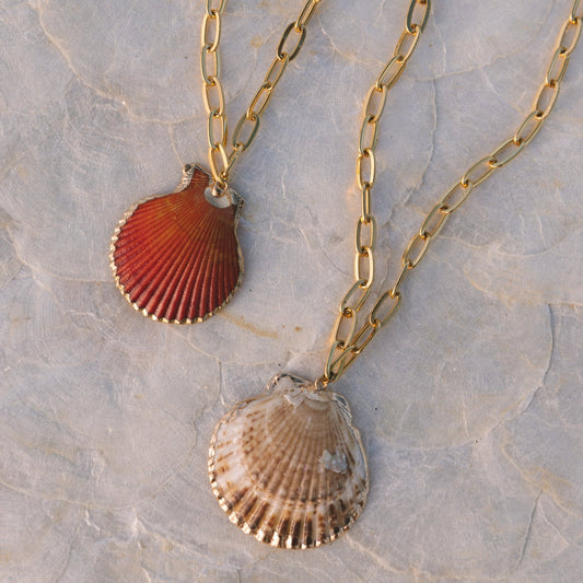 Scallop Shell Chain