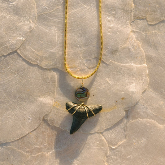 Abalone Shark Tooth Necklace