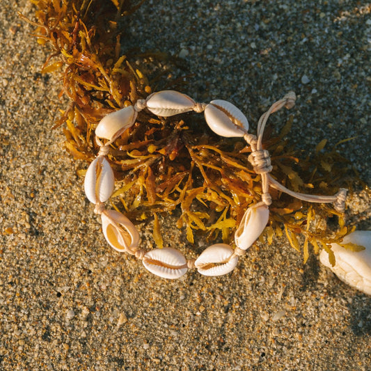 Puka Shell Anklet