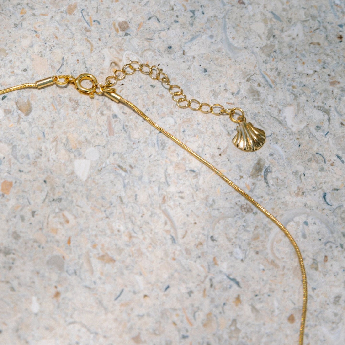 Iridescent Starfish Necklace