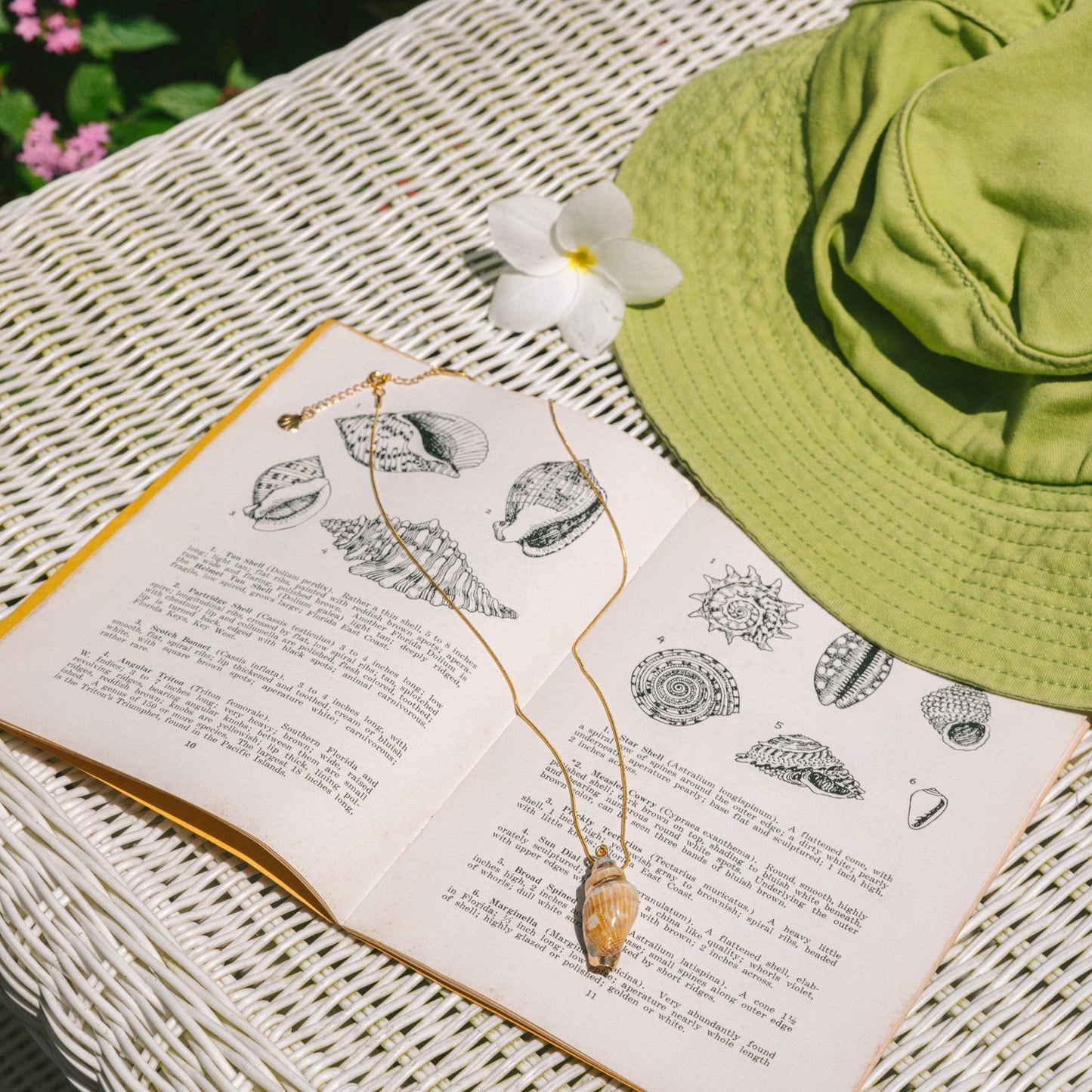 Golden Shores Necklace