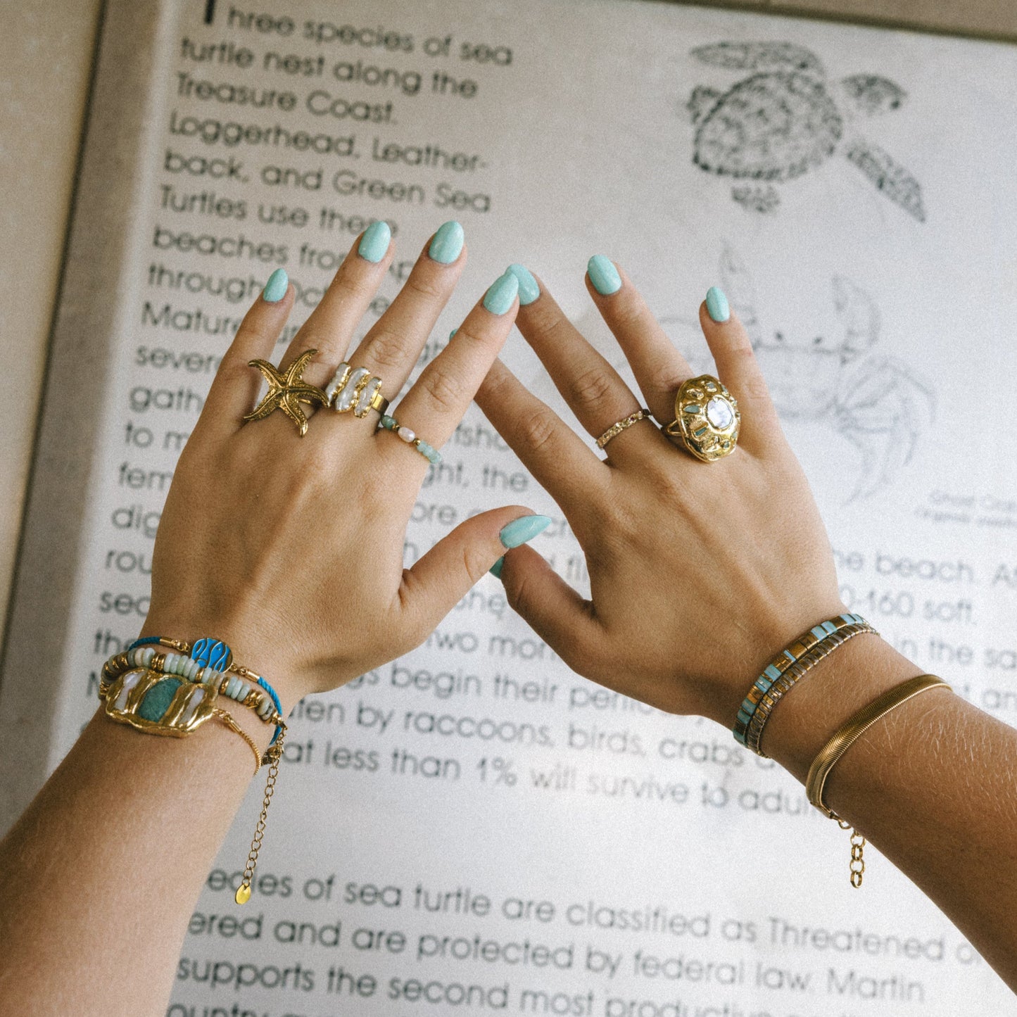 Close-up of hands with gold rings and bracelets on an open book with nature in the background