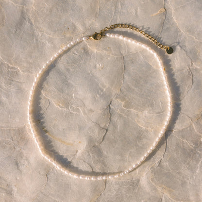 Pearls of Paradise Necklace