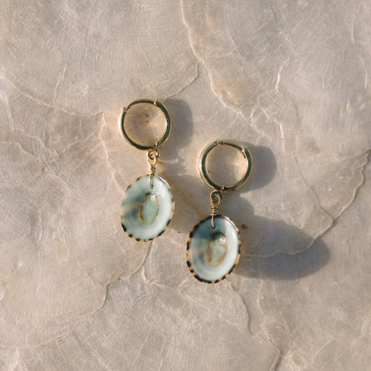 Seafoam Shell Earrings