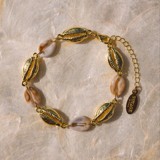 A gold chain bracelet featuring cowrie shells and textured gold-toned shell-shaped links, laid flat on a light beige marbled surface. A small hanging tag reads 'SUNRISE'.