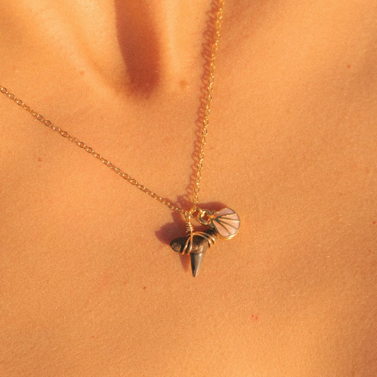 Seashell Shark Tooth Necklace