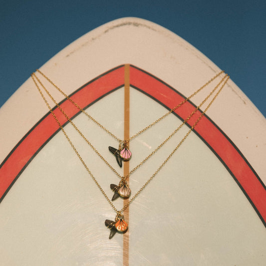 Seashell Shark Tooth Necklace